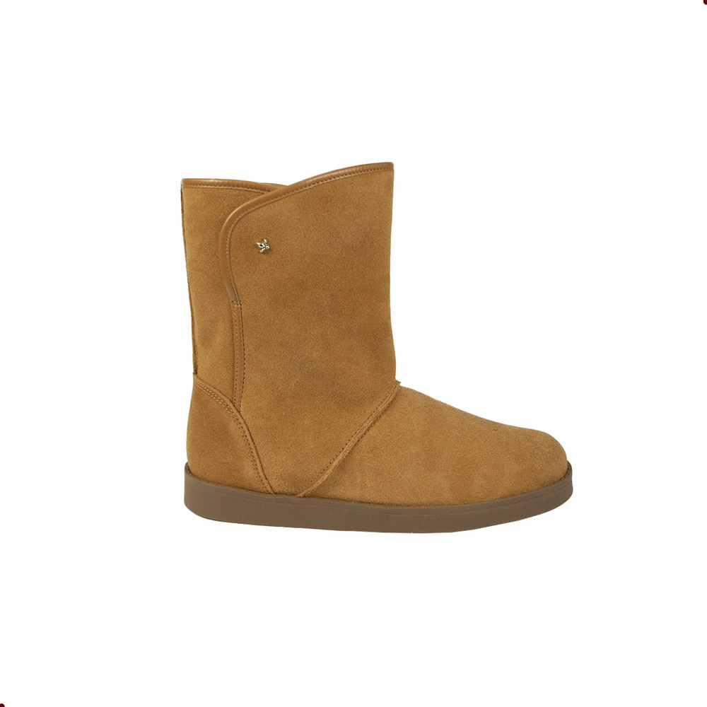 BOTA UGG CRAVO E CANELA FEM